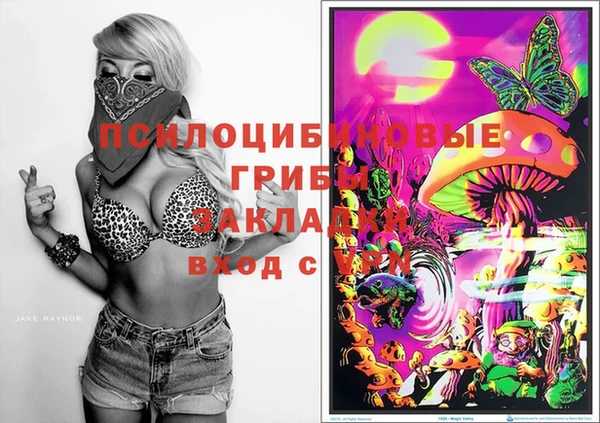 PSILOCYBIN Няндома