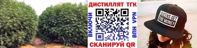 закладка  Раменское  ТГК жижа 
