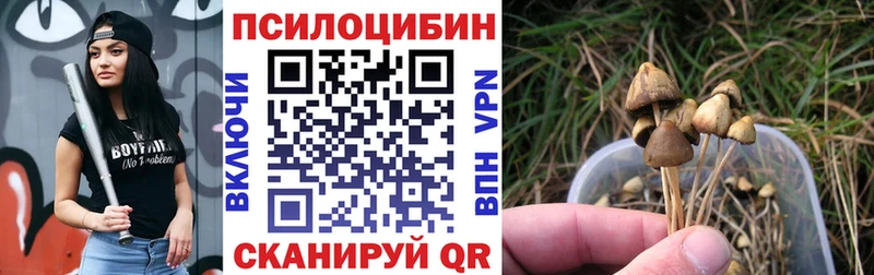 Псилоцибиновые грибы Psilocybe где найти Раменское