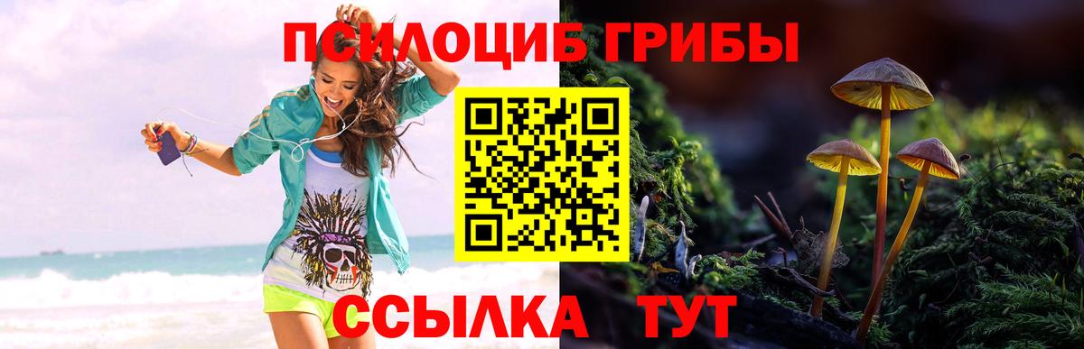 Раменское  Галлюциногенные грибы мухоморы  Вход с VPN 